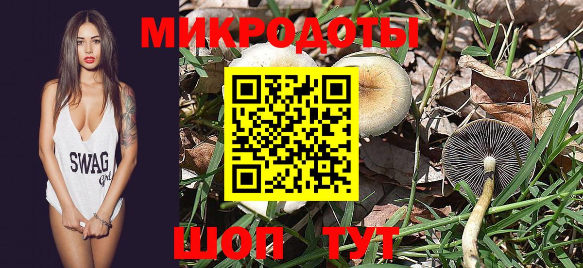 Ленинск-Кузнецкий  Галлюциногенные грибы Cubensis  Вход с VPN 